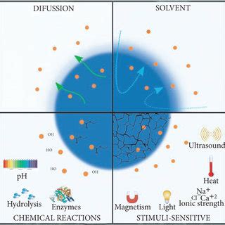  Dextran: Un polymère polyvalent pour l'ingénierie tissulaire et la libération contrôlée de médicaments !