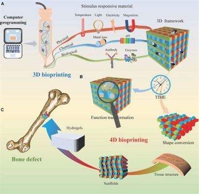  Actomyosin: Un Biomatériau Fascinant pour la Création de dispositifs Médicaux Innovants !