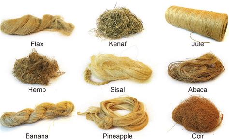 Bouclé: Découverte de cette Fibre Naturelle à Haut Potentiel de Résistance !