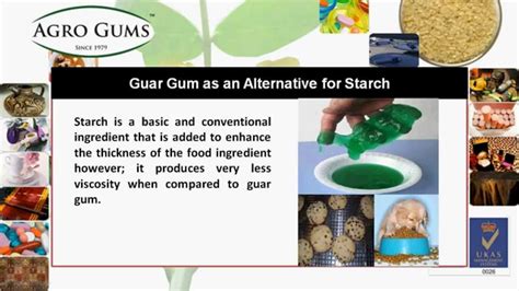 Guar Gum Production: Unlocking Nature's Viscosity Secret for Industrial Applications!