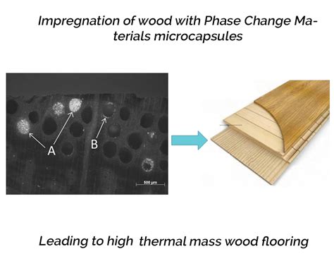 Is Impregnated Plywood Ready to Revolutionize Aerospace Engineering?