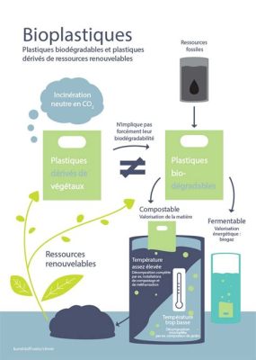  Résine: La Base Incontournable pour l'Innovation dans le Bioplastique ?